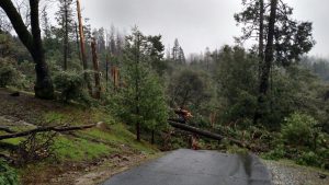 Storm Damage in Twain Harte