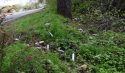 Butane cannisterdumping at CHS