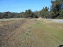 A Calaveras County resident's chipping pile after pic.