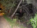 Hit and run rollover crash in Sonora