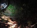 Hit and run rollover crash in Sonora