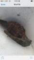 Grenade found in Sonora home