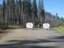 Repairing Evergreen Road