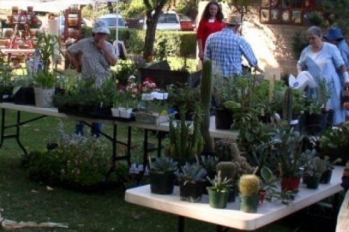 Mother Lode Events