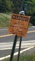 Graffiti In Tuolumne County