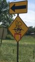 Graffiti In Tuolumne County