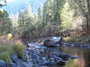 Yosemite National Park