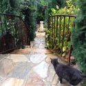 Barretta Gardens cat fountain