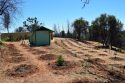 Mountain Ranch marijuana bust