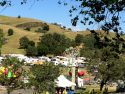 Calaveras County Fair and Jumping Frog Jubilee 2017