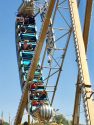 Calaveras County Fair and Jumping Frog Jubilee 2017