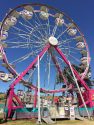 Calaveras County Fair and Jumping Frog Jubilee 2017