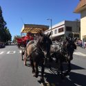 2017 Mother Lode Roundup