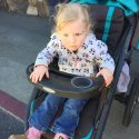 2017 Mother Lode Roundup