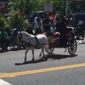 2017 Mother Lode Roundup