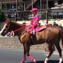 2017 Mother Lode Roundup