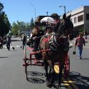 2017 Mother Lode Roundup