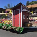 2017 Mother Lode Roundup