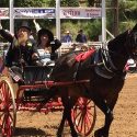 2017 Mother Lode Roundup Rodeo