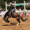 Mother Lode Roundup Rodeo