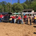2017 Mother Lode Roundup Rodeo "Mutton Busting"
