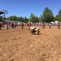 2017 Mother Lode Roundup Rodeo "Mutton Busting"