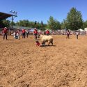 2017 Mother Lode Roundup Rodeo "Mutton Busting"