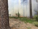 Stanislaus National Forest prescribed burn