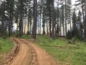 Stanislaus National Forest prescribed burn