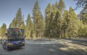 YARTS bus tests travels on roundabout in Yosemite
