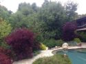 Swanson Garden Edge of Pool