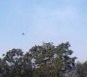 Columbia aircraft fighting vegetation fire at Blue Bell Road West in Sonora
