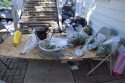 Burson pot bust