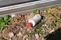 Burson pot bust bottle believed to be banned Carbofuran pesticide