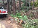 Tuolumne Main Canal resiliency project