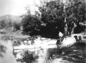 Phoenix Lake Circa 1894 Near Dam