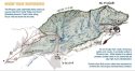 Phoenix Lake Watershed Illustration