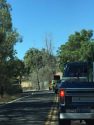 Pool Station Road traffic backed up due to road maintenance