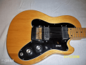 Viper guitar stolen, June 10, 2017