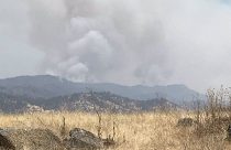 Detwiler Fire