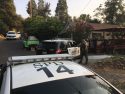 Drug Bust Elm Street House, July 19, 2017, TCSO Image