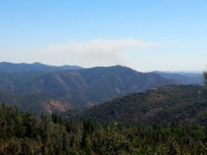 Update: Vehicle And Vegetation Fire In Calaveras County Forward Rate Stopped