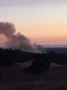 Jacksonville Fire at sunset Saturday