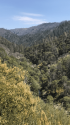 Search and Rescue Mission Near Groveland