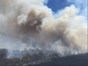 Jacksonville Fire