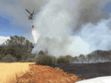 Jacksonville Fire