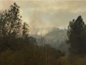 Spring Fire in Mariposa County