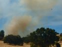 Jacksonville Fire