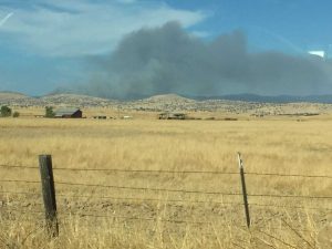 Coronado Fire
