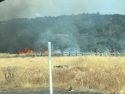 Mono Fire in Sonora